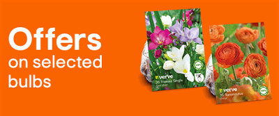 Offers on selected bulbs. Click to shop now.