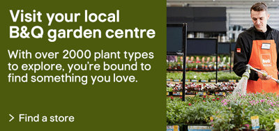 Visit your local B&Q garden centre. With over 2000 plant types to explore, you're bound to find something you love. Find a store.