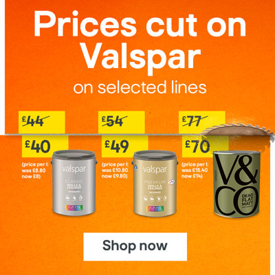 Prices cut on selected Valspar paint. Shop now.