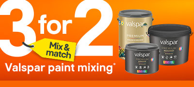 Shop 3 for 2 on Valspar paint mixing, includes Valspar premium masonry paint, Valspar premium walls and ceilings paint, Valspar premium garden exterior paint and V&Co dead flat matt paint. Terms & conditions apply, see the *Promotional terms & conditions at the end of the page.