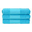 A&R Towels Print-Me Hand Towel Aqua Blue (One Size)