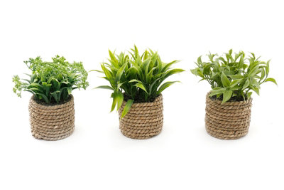 A Set Of Three Rope Effect Pot