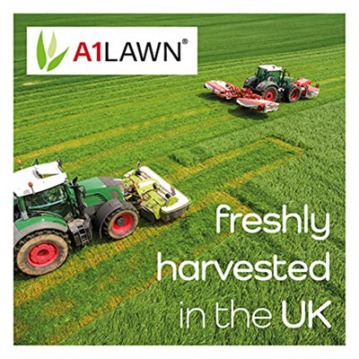 A1 lawn repair outlet