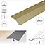 A11 900mm x 40mm 2mm Anodised Aluminium Door Threshold Ramp Profile - Gold, 0.9m