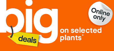 Big deals on selected lawn & plant care.Terms & conditions apply, see the *terms & conditions at the end of the page. Shop now.