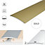A72 100mm Anodised Aluminium Self Adhesive Door Threshold Strip - Gold