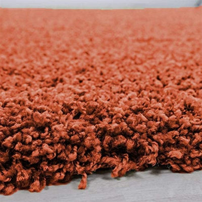 Abaseen 60x110 cm Terracotta Shaggy Rug - Soft Touch Thick Pile Modern Rugs - Washable Area Rugs for Home and Office