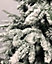 Abaseen 6ft Green Snowy Half Parasol Christmas Artificial Tree