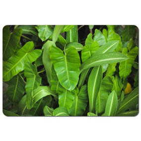 Abstract background of dark green leaves (Placemat) / Default Title