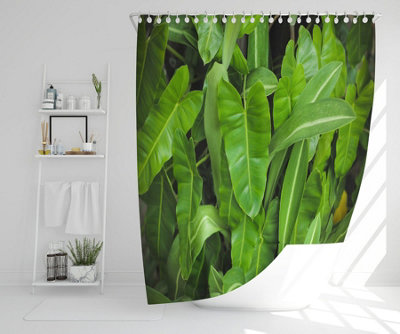 Abstract background of dark green leaves (Shower Curtain) / Default Title