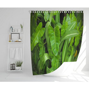 Abstract background of dark green leaves (Shower Curtain) / Default Title