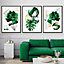 Abstract Green and Gold Floral Wall Art Prints / 42x59cm (A2) / White Frame