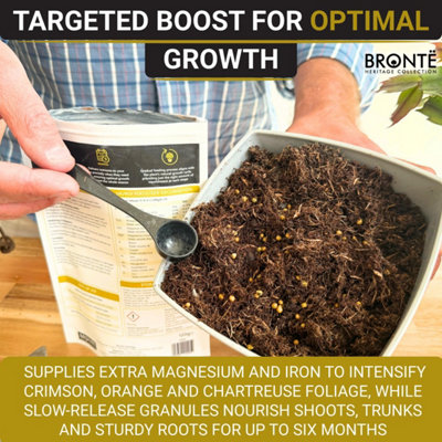 Acer Controlled-Release Fertiliser Plant Food for Japanese Maples in ...