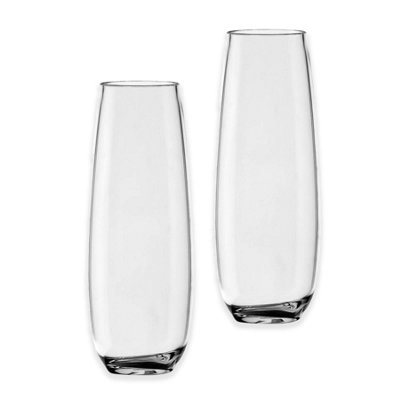 Acrylic Stemless Champagne Flute - Plastic Picnic Camper Glasses - Set of 2