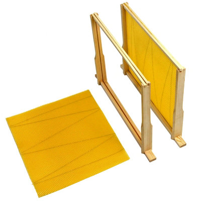 Actiasbee National Deep Brood Frames with Wired Wax Foundation