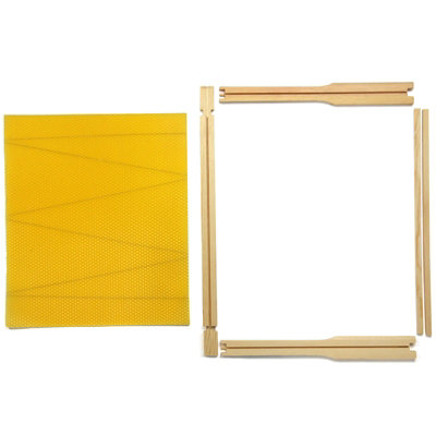 Actiasbee National Deep Brood Frames with Wired Wax Foundation