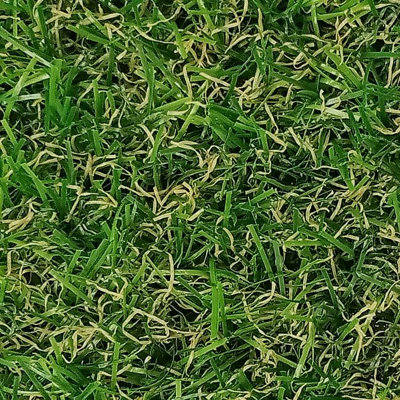 Adelaide 20mm Outdoor Artificial Grass, Pet-Friendly Synthetic Fake Grass For Patio Garden Lawn-11m(36'1") X 2m(6'6")-22m²