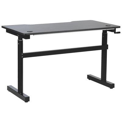 Adjustable Gaming Desk with RGB LED Lights 120 x 60 cm Black DURBIN