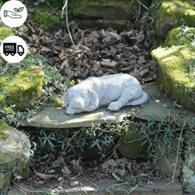 Adorable Sleeping Labrador Garden Ornament