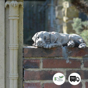 Adorable Sleeping Mongrel Dog Stone Cast Garden Ornament