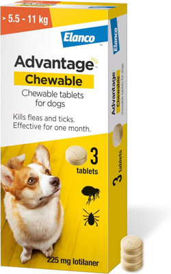 Curated visual reference: Visual Reference: Advantage Chewable Flea And Tick Protection For Medium Dogs 5