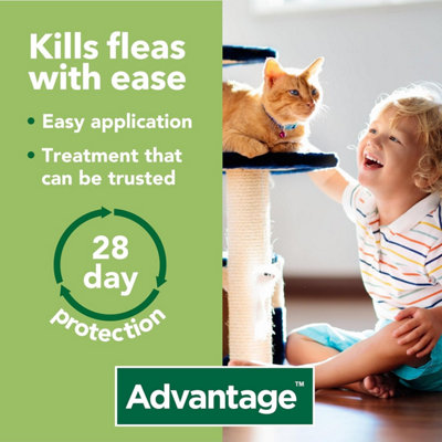 Advantage Spot on Flea Treatment 80 for Large Cats and Rabbits - 4 Pipette