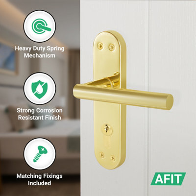 AFIT Brass Euro Door Handles, 1 Pair of Internal T-Bar of Polished Brass Backplate Handles - Olvera Range