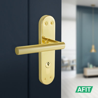 AFIT Brass Euro Door Handles, 1 Pair of Internal T-Bar of Polished Brass Backplate Handles - Olvera Range