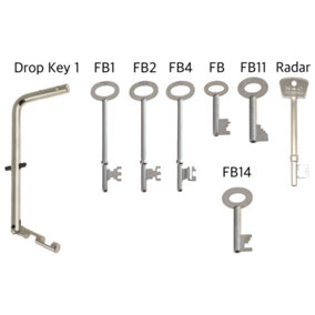 AFIT FB Master Key Set + 1 RADAR Disabled Toilet Key