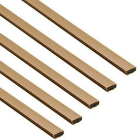 AFIT Intumescent Strip Fire Only 10 x 4 x 2100mm - Brown - Trade Pack of 10