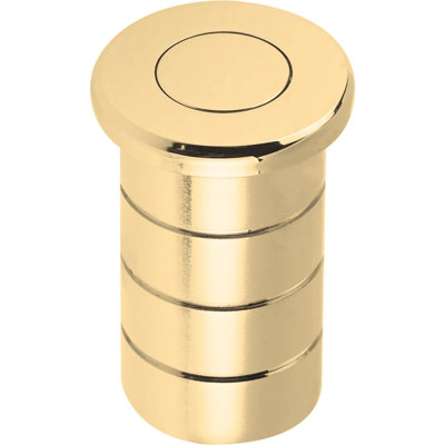 AFIT Polished Brass Dust Socket for Flush Bolts 20 x 25mm | DIY at B&Q