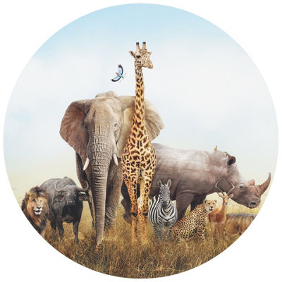 African Animals - 144x144cm - 5521-R