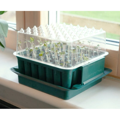 Agralan Plug Plant Trainer Kit