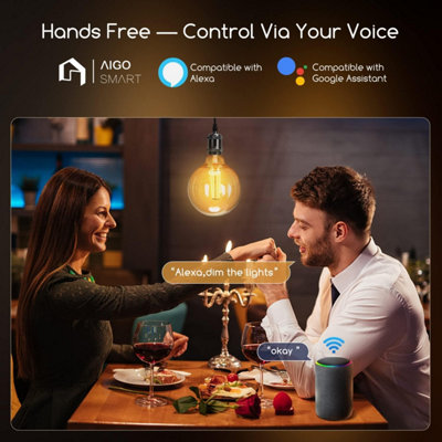 E27 alexa bulb outlet