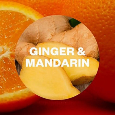 Air Wick Ginger & Mandarin Essential Oils Reed Diffuser 25 ML - Pack of 6