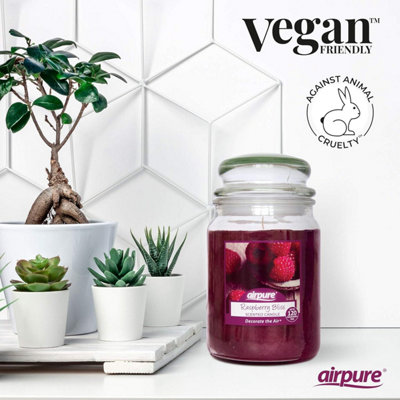 Airpure Raspberry Scented Large Candle 510g