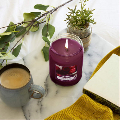 Airpure Raspberry Scented Large Candle 510g