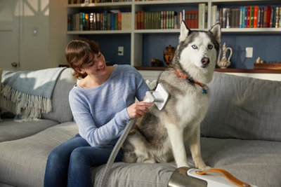 10 Best Professional Pet Grooming Kits (April 2026) Complete Guide