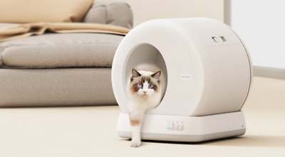 Auto cat outlet litter tray