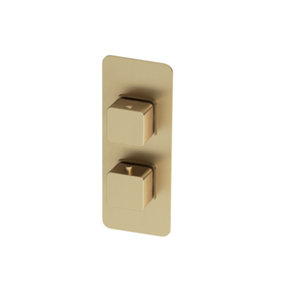 Alberto Square Brushed Gold Concealed Thermostatic Shower Valve - Dual Control with Dual Outlet