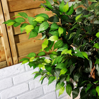 Alfresia Artificial Plant, Tall Shrub, Indoor or Outdoor Use
