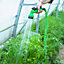 Alivio Expandable Garden Hose Pipe 75ft with 7 Spray Functions, Spray Gun & Connectors (Green)