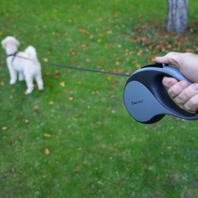 12m retractable dog lead online