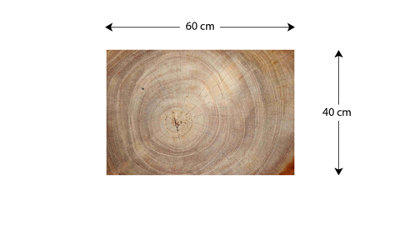 ALLboards Magnetic Boards MetalBoard WOOD GRAIN TREE STUMP TRUNK WOOD SLICE 60x40cm a Magnetic Metal Poster with an imprint