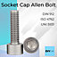 Allen Socket M10 x 25mm Cap Head Screws Bolts Pack of: 10  DIN 912 A2 Stainless Steel
