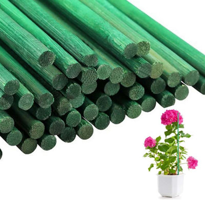 Almineez 50Pcs Green Plant Support Sticks 60cm Bamboo Plant Stakes Split Canes Floral Sticks