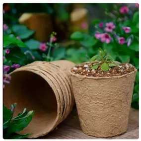 Almineez Grow It Biodegradable FIBRE POT 6cm Round Plant Seed Seedling Pots 36-Pack