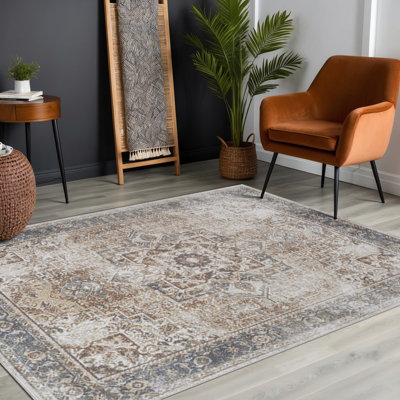 ALORA Machine Washable Vintage Area Rug 120 x 170 cm