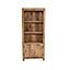 Alphon Mango Wooden Bookcase With 2 Doors