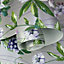 Amazonia Passiflora Silver Wallpaper Holden 91323